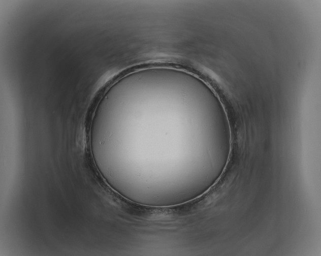 X0000112151267200908211406