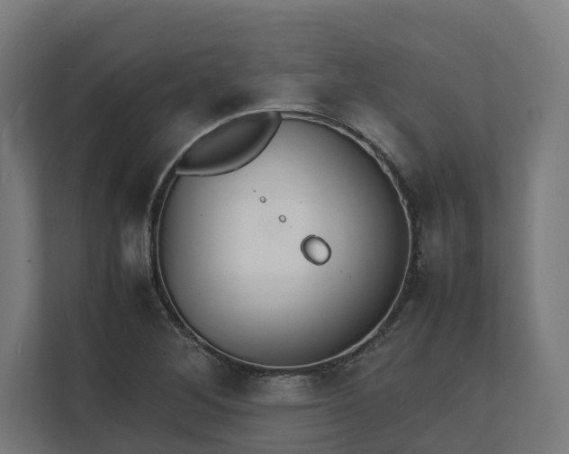 X0000112151268200908211406