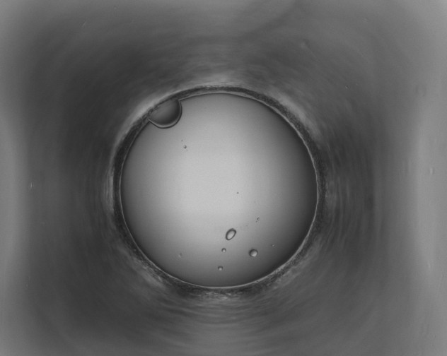 X0000112151270200908211406