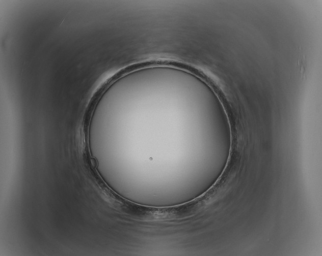 X0000112151271200908211406
