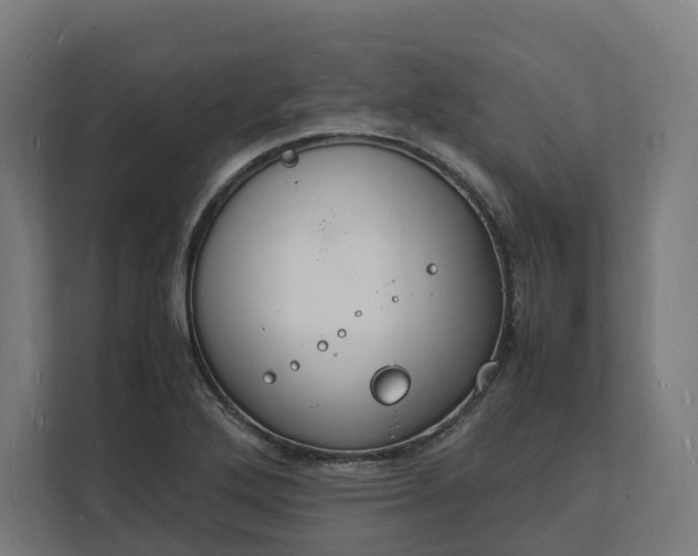 X0000112151272200908211406