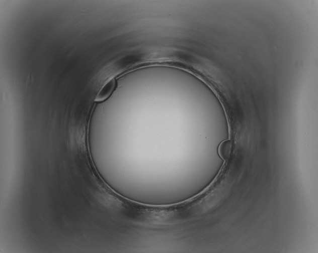 X0000112151273200908211406