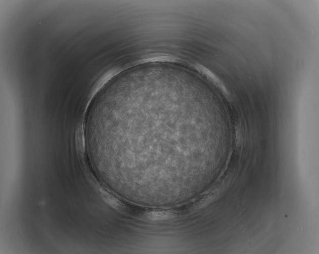X0000112151274200908211406