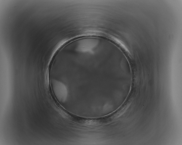 X0000112151275200908211406