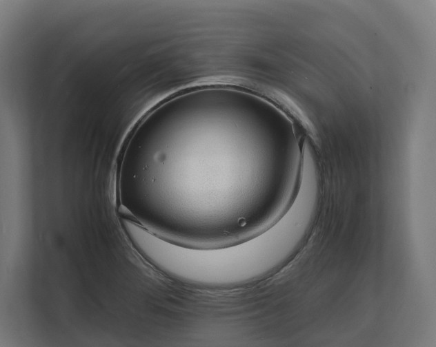 X0000112151276200908211406