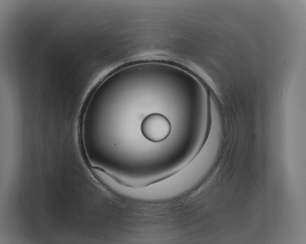 X0000112151277200908211406