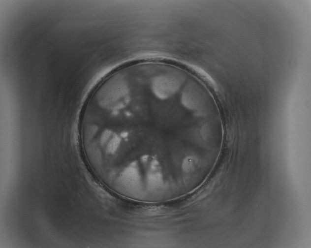 X0000112151279200908211406