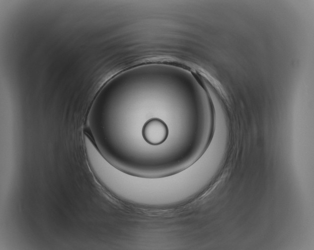 X0000112151281200908211406