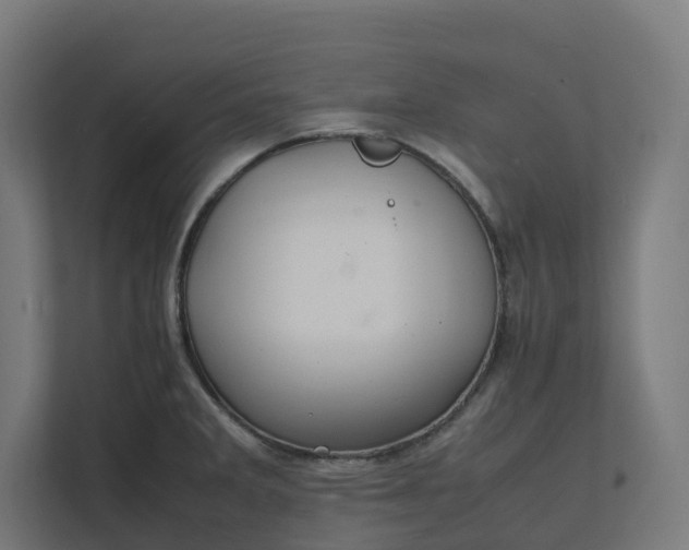 X0000112151285200908211406