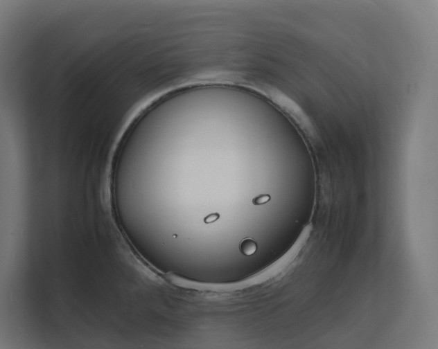 X0000112151288200908211406