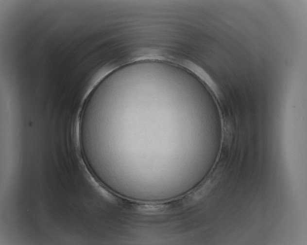 X0000112151290200908211406