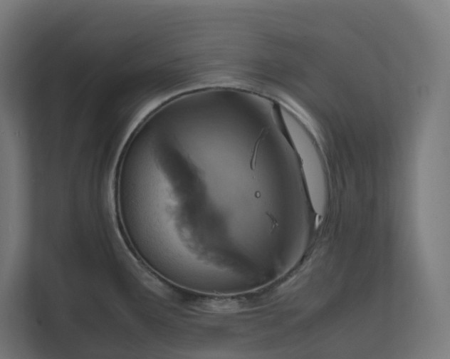 X0000112151291200908211406
