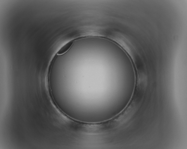 X0000112151293200908211406
