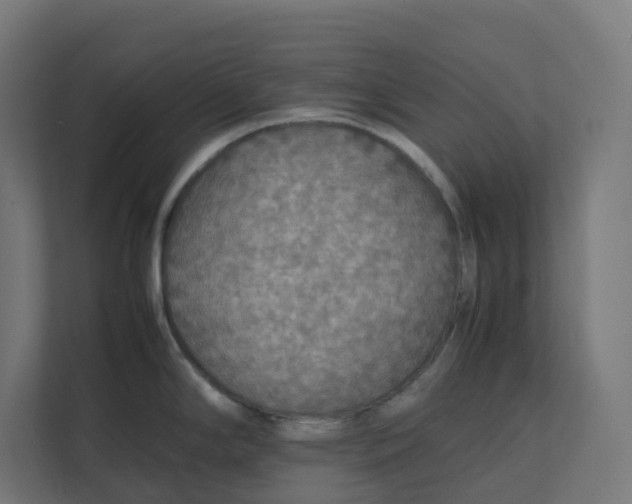 X0000112151294200908211406