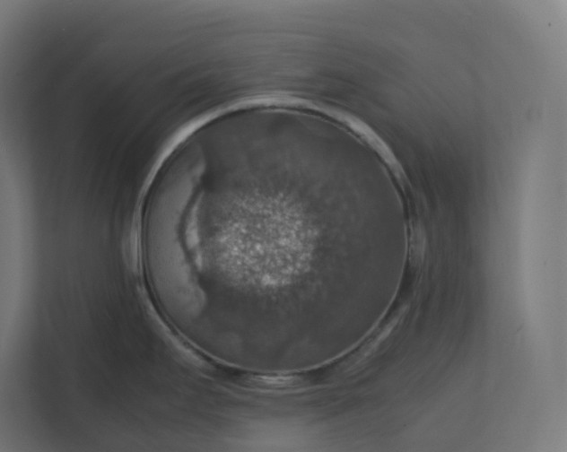 X0000112151295200908211406