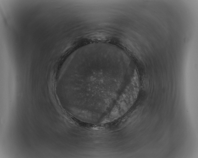 X0000112151297200908211405