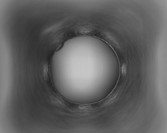 X0000112151299200908211405