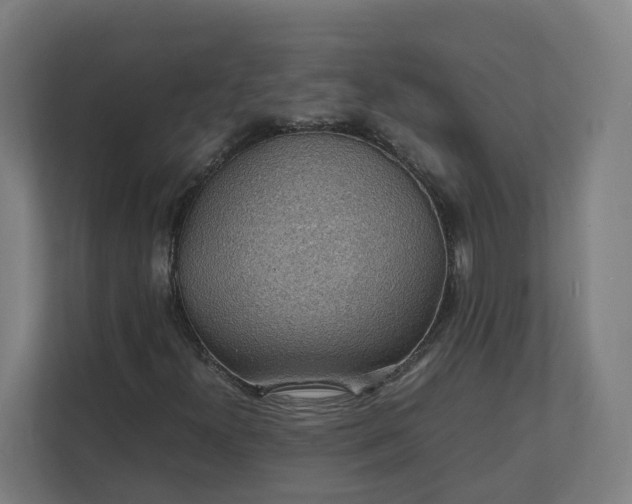 X0000112151300200908211405