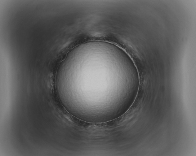 X0000112151301200908211405