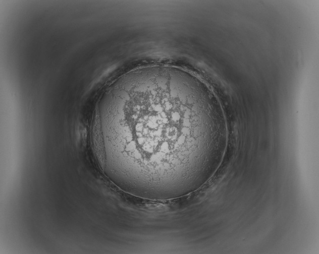 X0000112151302200908211405