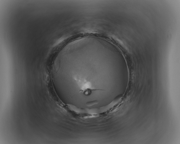 X0000112151303200908211405