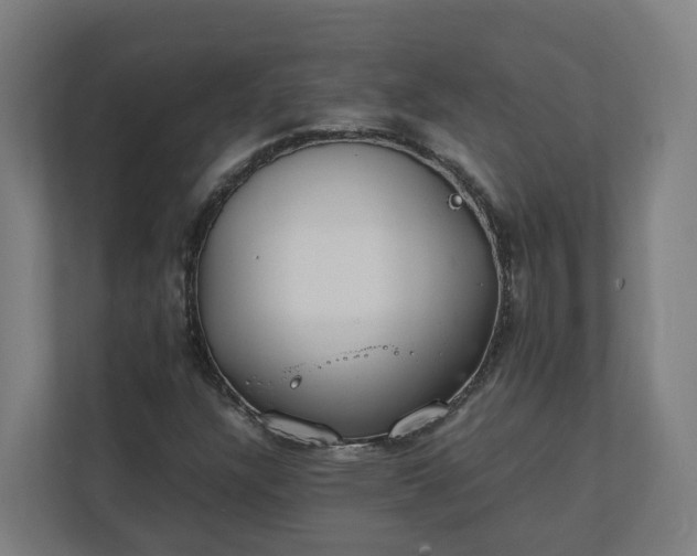 X0000112151304200908211405