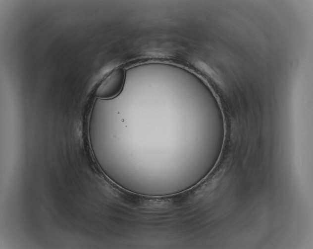 X0000112151307200908211405