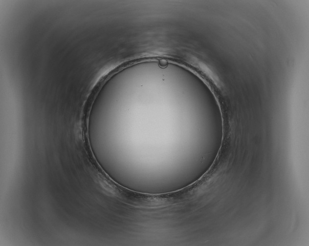 X0000112151308200908211405
