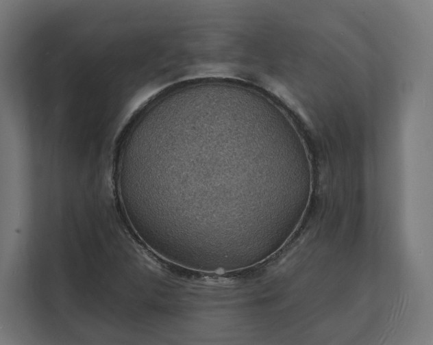 X0000112151312200908211405