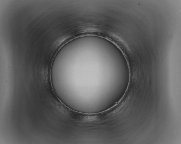 X0000112151313200908211405