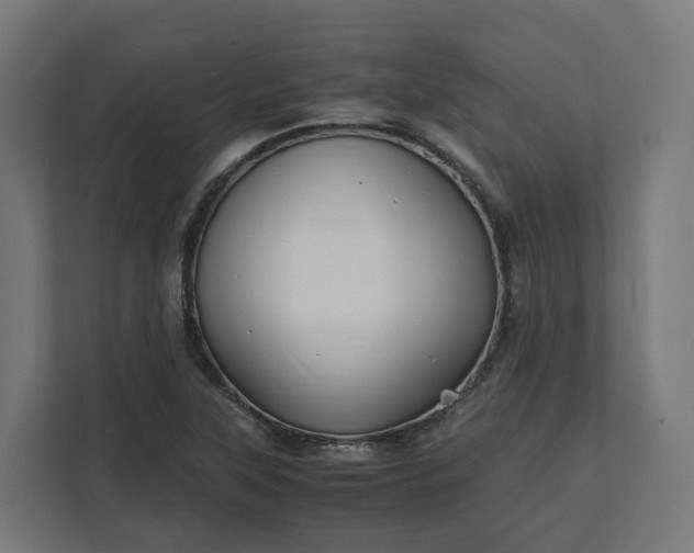 X0000112151315200908211405