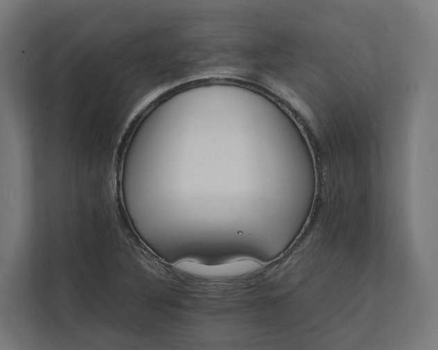 X0000112151316200908211406