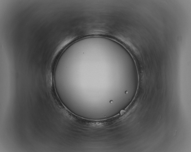 X0000112151317200908211406