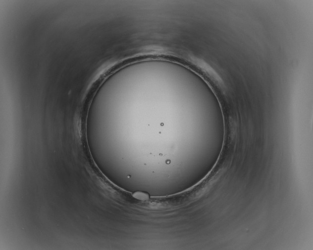 X0000112151318200908211406