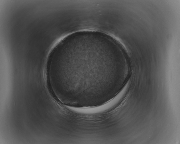 X0000112151319200908211406