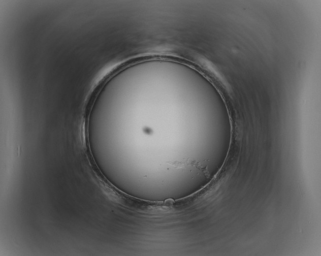 X0000112151320200908211406