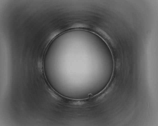 X0000112151321200908211406
