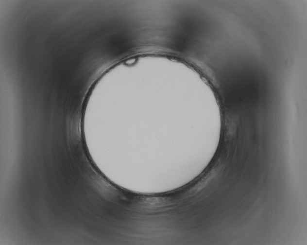X0000112151322200908211406
