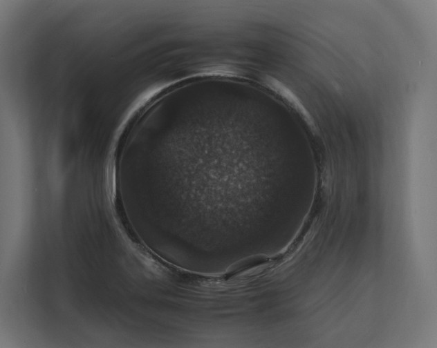 X0000112151323200908211406