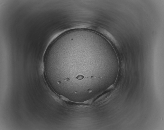 X0000112151324200908211406