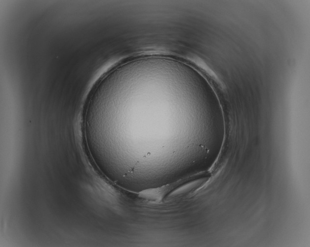 X0000112151325200908211406
