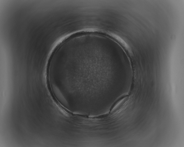 X0000112151327200908211406