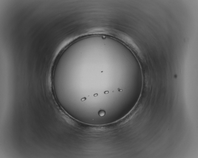 X0000112151328200908211406