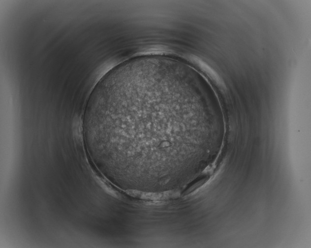 X0000112151329200908211406