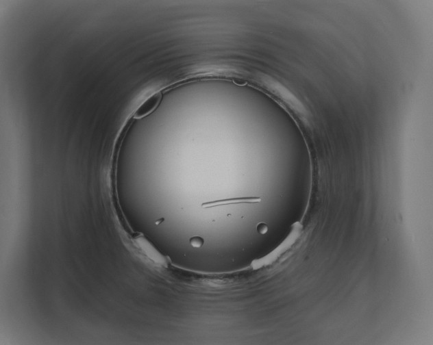 X0000112151330200908211406