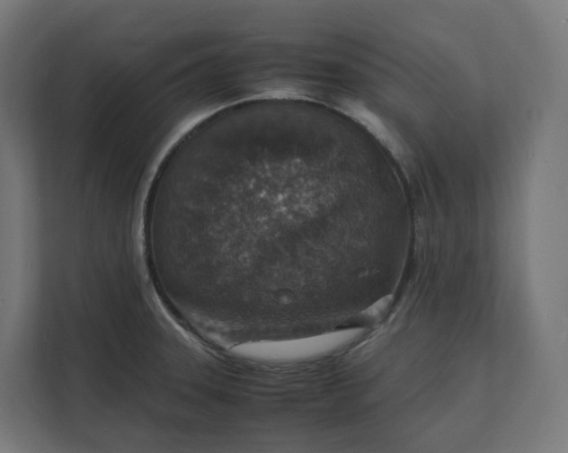 X0000112151331200908211406