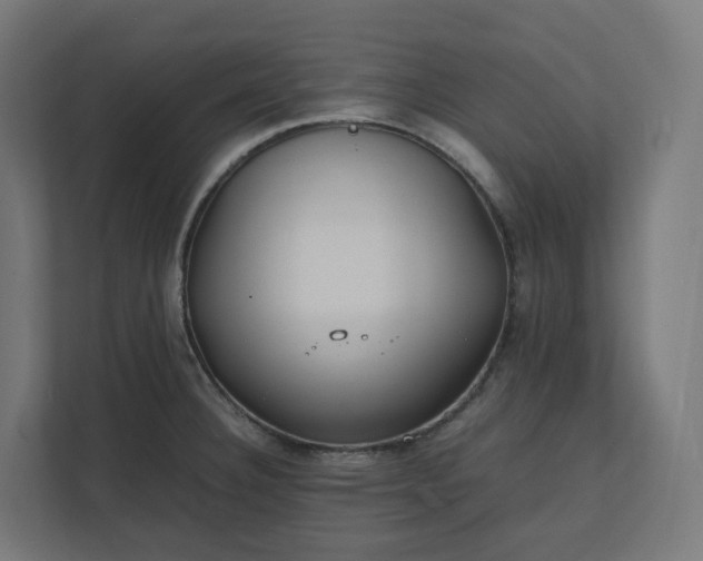 X0000112151332200908211406
