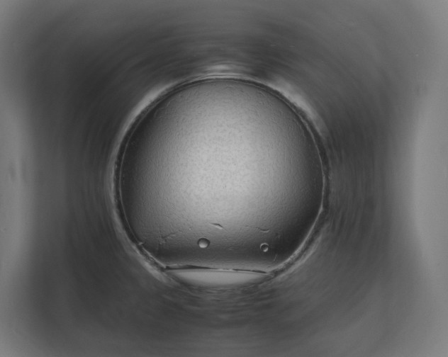 X0000112151333200908211406