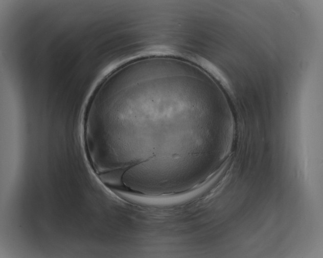 X0000112151334200908211406