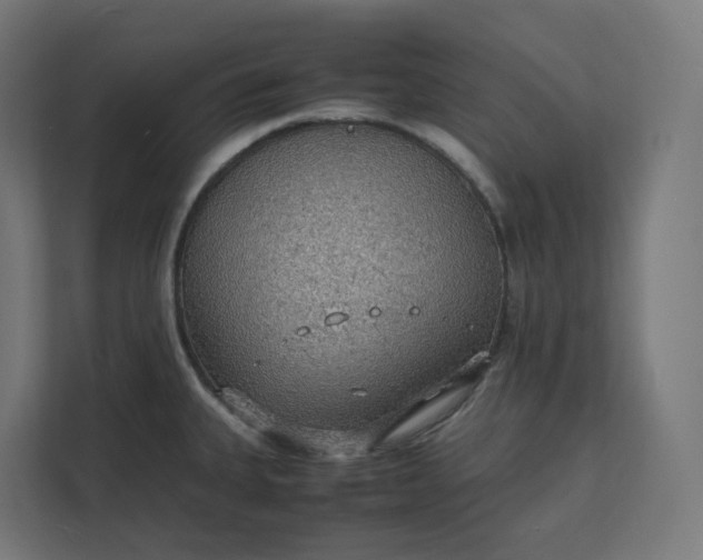 X0000112151335200908211406
